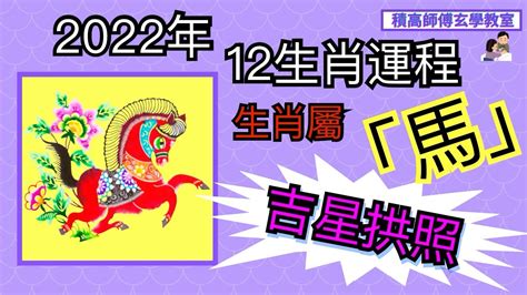 2024年生肖運程 豬|屬豬出生年份+2024今年幾多歲？屬豬性格特徵+最新。